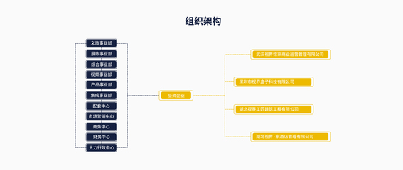 湖北視界文旅 酒店管理的創新引領者